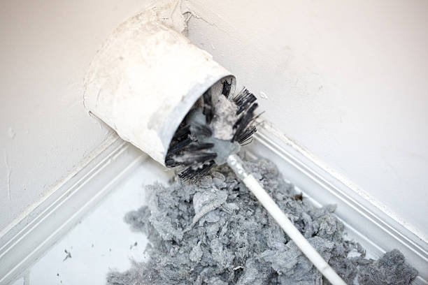 Best Affordable Air Duct Cleaning  in Mountain View, HI