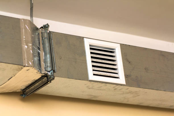 Best Ductwork Cleaning Services  in Mountain View, HI